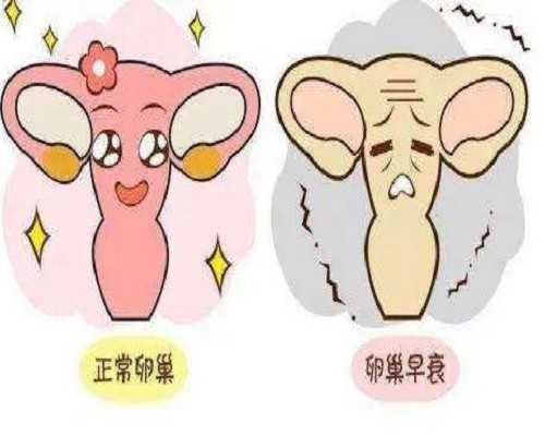 国内助孕供卵,孕期产检大合集